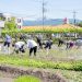 白川だより(令和5年6月10日号)