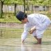 斉藤祝殿宮司の〈はふりめく〉朗読令和７年６月号