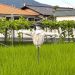 白川だより(令和7年7月26日号)