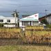 白川だより(令和7年10月11日号)