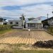 白川だより(令和7年10月18日号)